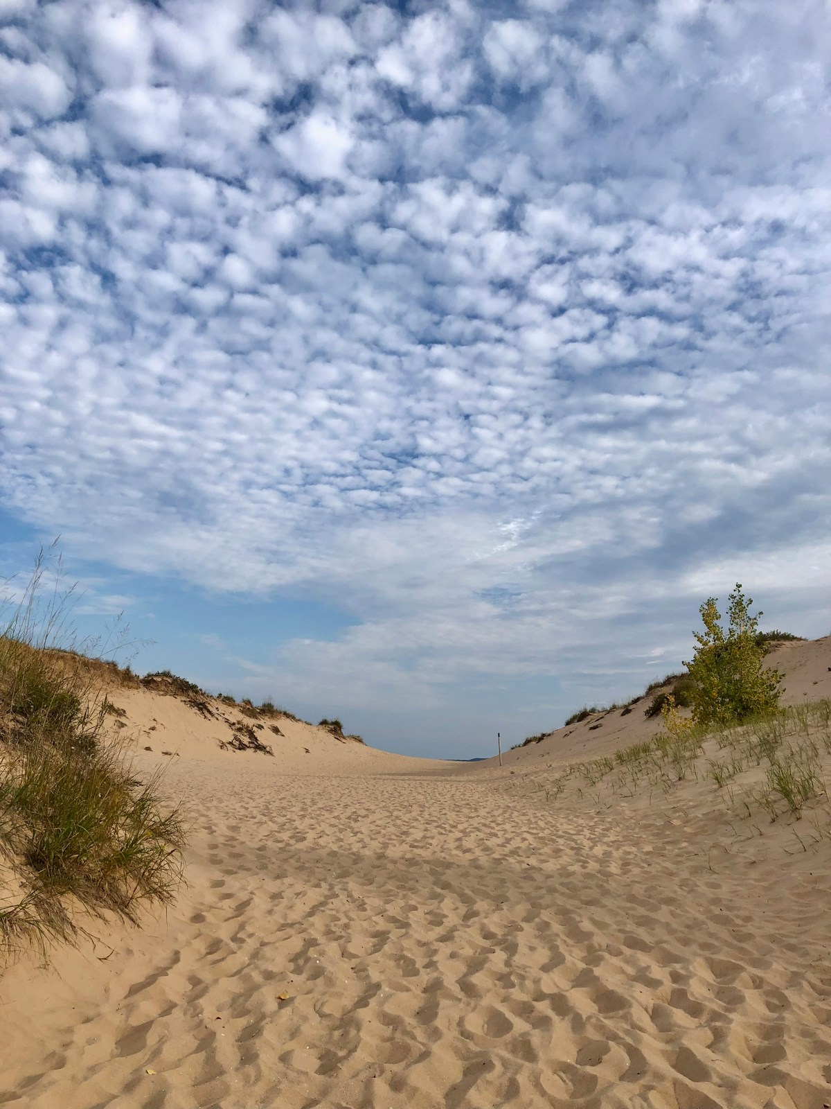 Sleeping Bear Dunes Day Trip from Traverse City: Trail Guide for Every Skill Level